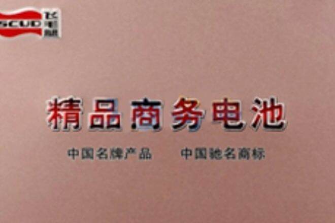 飛毛腿SH9110 飛毛腿SH9110