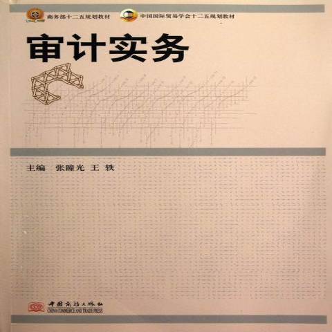 審計實務(2012年中國商務出版社出版的圖書) 審計實務(2012年中國商務出版社出版的圖書)
