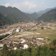 碧龍村 碧龍村