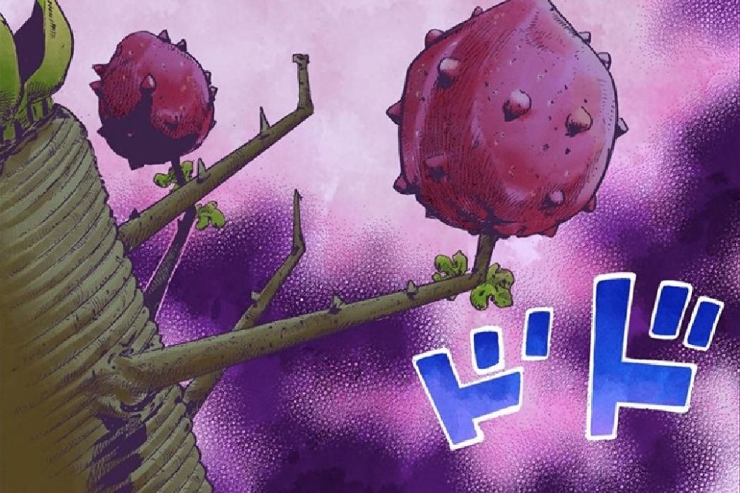 洛卡卡卡果實(洛卡卡卡) 洛卡卡卡果實(洛卡卡卡)