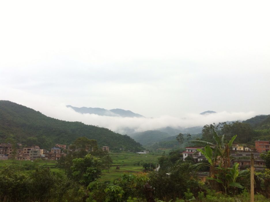 頂上村(雲南宣威市羊場鎮下轄村) 頂上村(雲南宣威市羊場鎮下轄村)