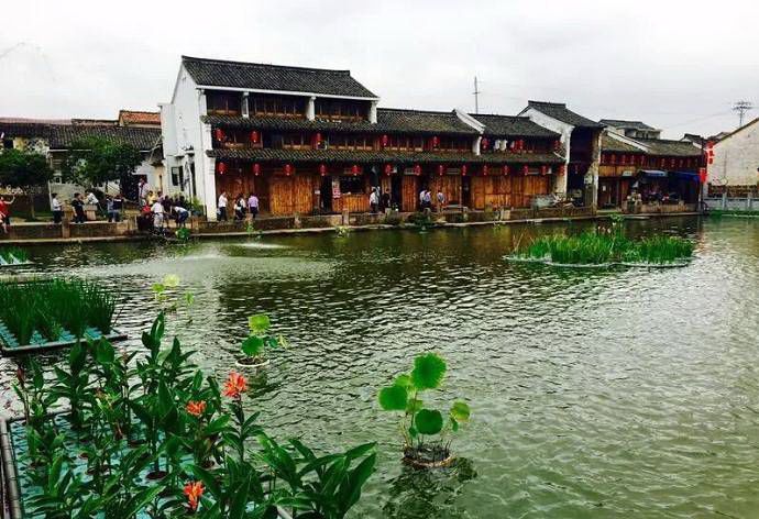 梅渚村 梅渚村