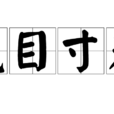 鼠目寸光 鼠目寸光
