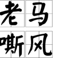老馬嘶風 老馬嘶風