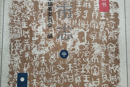寶雞市志中 寶雞市志中