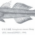 中華舌塘鱧 中華舌塘鱧