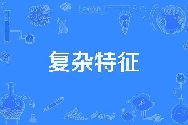 複雜特徵 複雜特徵