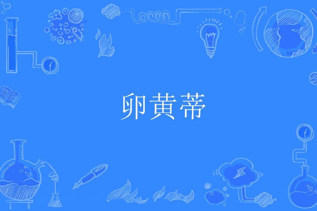 卵黃蒂 卵黃蒂