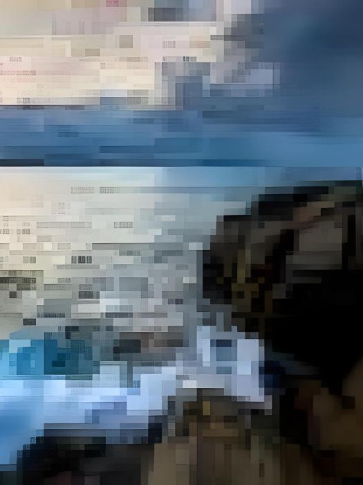 殘心問劍錄 殘心問劍錄