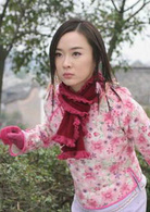 江湖往事(2008年李惠民執導民國江湖傳奇劇)