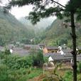 土塘村(雲南省會澤縣雨碌鄉小米村委會下轄村) 土塘村(雲南省會澤縣雨碌鄉小米村委會下轄村)