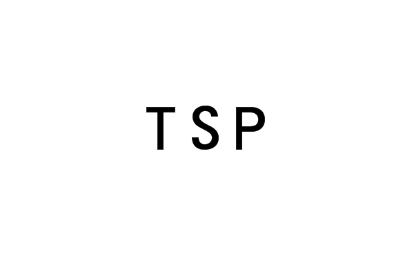 TSP(觸控螢幕板(TouchScreenPanel))