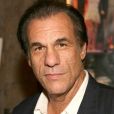 羅伯特·戴維(Robert Davi) 羅伯特·戴維(Robert Davi)