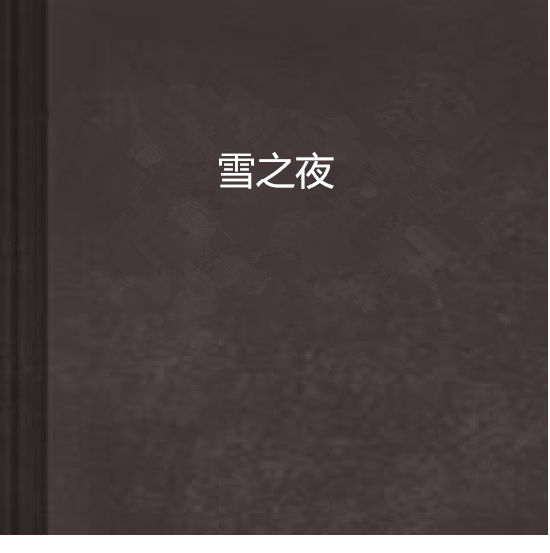 雪之夜 雪之夜