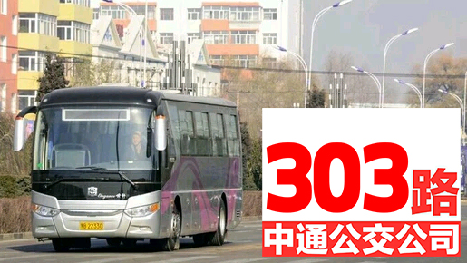 303路