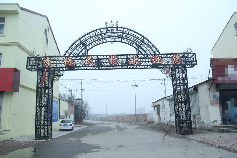 李保民村 李保民村