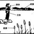 畫面布局 畫面布局