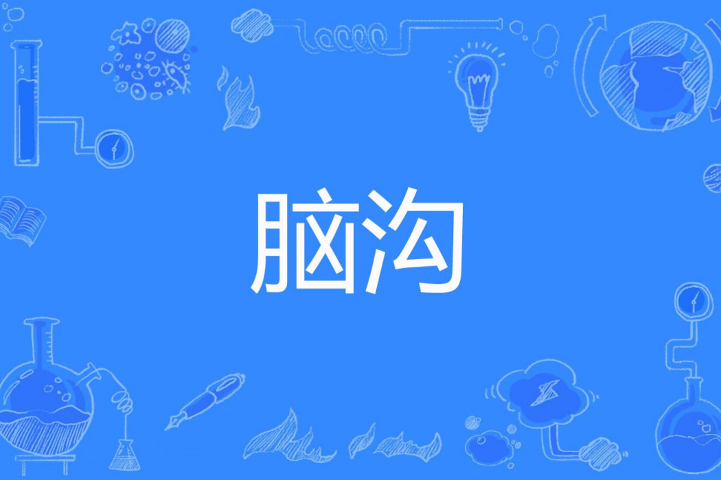 腦溝 腦溝