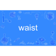 waist waist