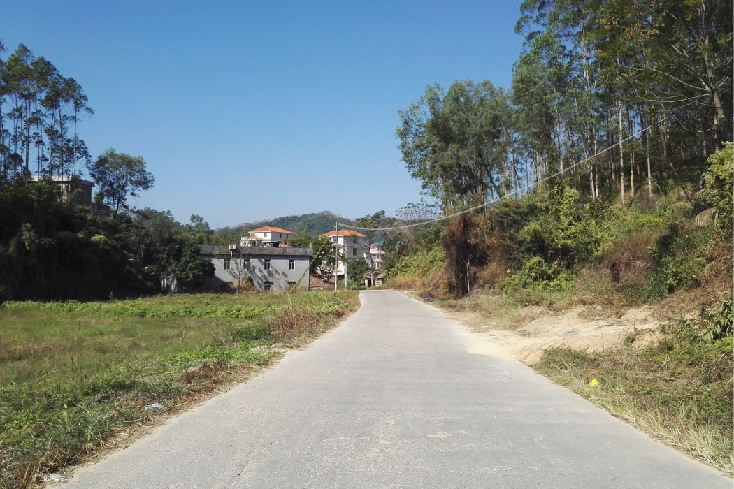 石龍村(廣西壯族自治區玉林市博白縣大垌鎮下轄村) 石龍村(廣西壯族自治區玉林市博白縣大垌鎮下轄村)