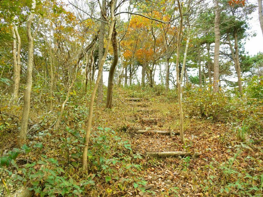 黃泥漿崗 黃泥漿崗