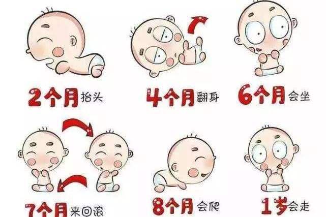 嬰兒發育 嬰兒發育