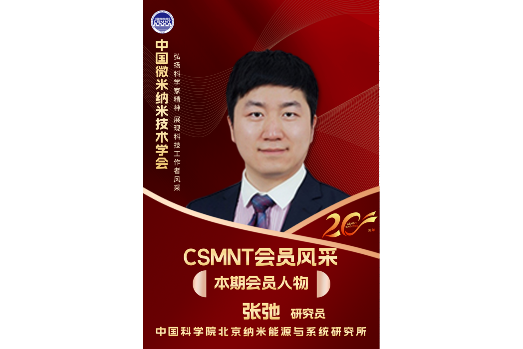 張弛(中國科學院北京納米能源與系統研究所研究員，博士生導師，主要研究納米發電機與自驅動微系統。)