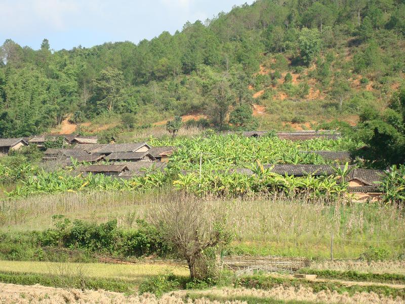 那哈村(雲南省富寧縣洞波瑤族鄉下轄村) 那哈村(雲南省富寧縣洞波瑤族鄉下轄村)