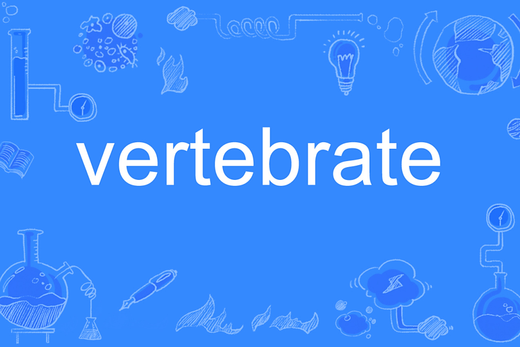 vertebrate vertebrate
