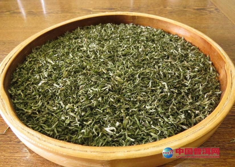 川茶1號 川茶1號