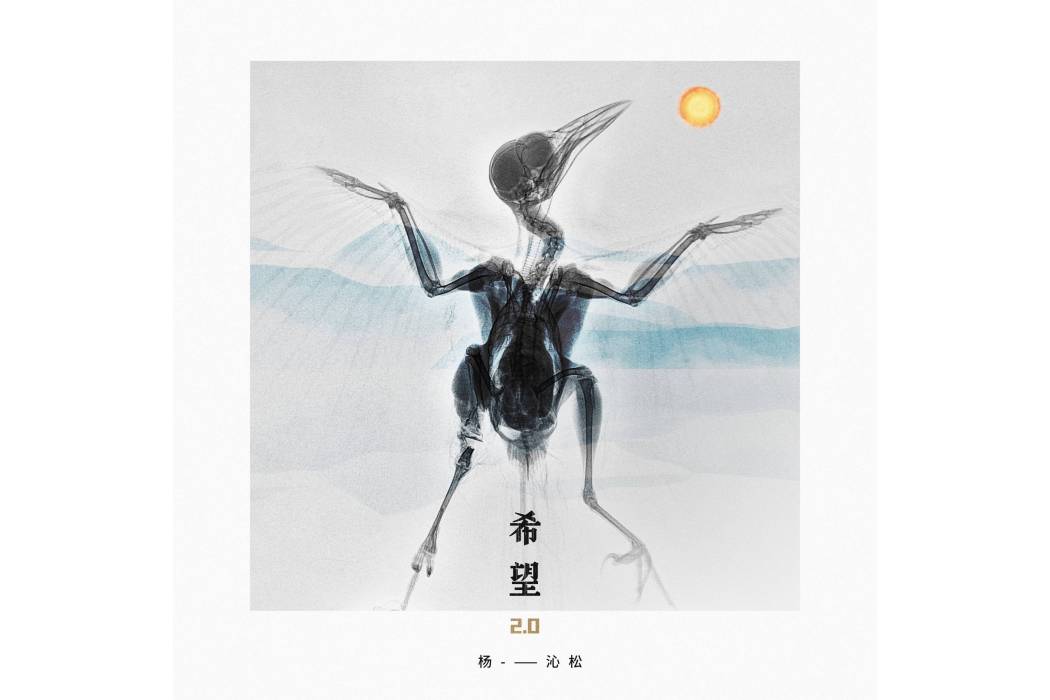 希望2.0 希望2.0