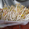 赤小豆芽(赤小豆芽) 赤小豆芽(赤小豆芽)