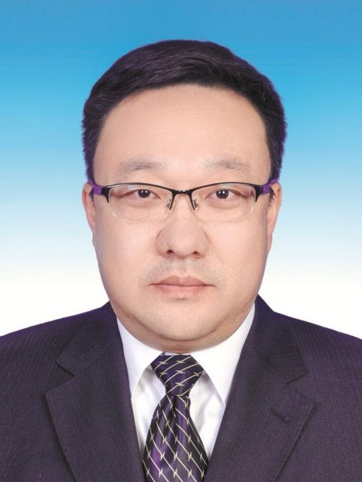 王琳(新疆維吾爾自治區黨委常委、組織部部長，自治區行政學院院長)