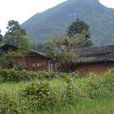 上河村(河南桐柏縣大河鎮下轄村) 上河村(河南桐柏縣大河鎮下轄村)