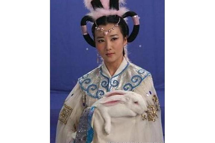 嫦娥(電視劇《吳承恩與西遊記》中的角色) 嫦娥(電視劇《吳承恩與西遊記》中的角色)