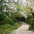 偕樂園 偕樂園