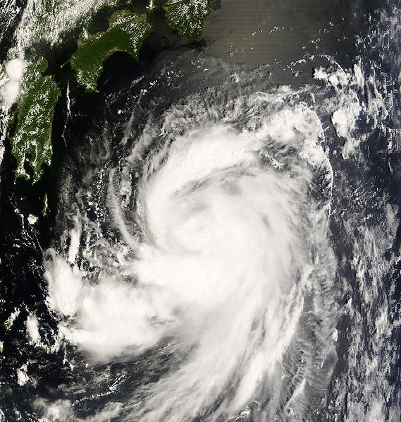 強熱帶風暴黃蜂衛星雲圖
