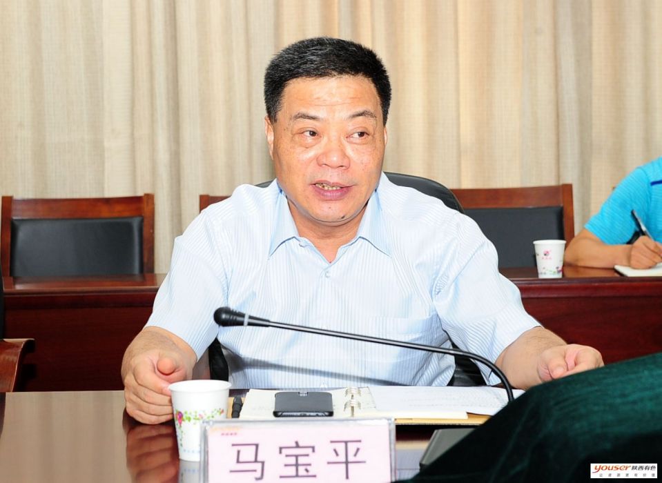馬寶平(陝西有色金屬控股集團董事長、黨委書記) 馬寶平(陝西有色金屬控股集團董事長、黨委書記)