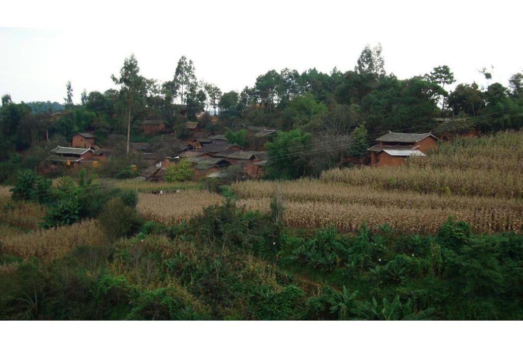 代足利村(雲南元謀縣羊街鎮下轄村)