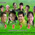 鄉里鄉親(2007年朱正導演電視劇)