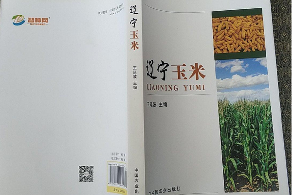 遼寧玉米 遼寧玉米