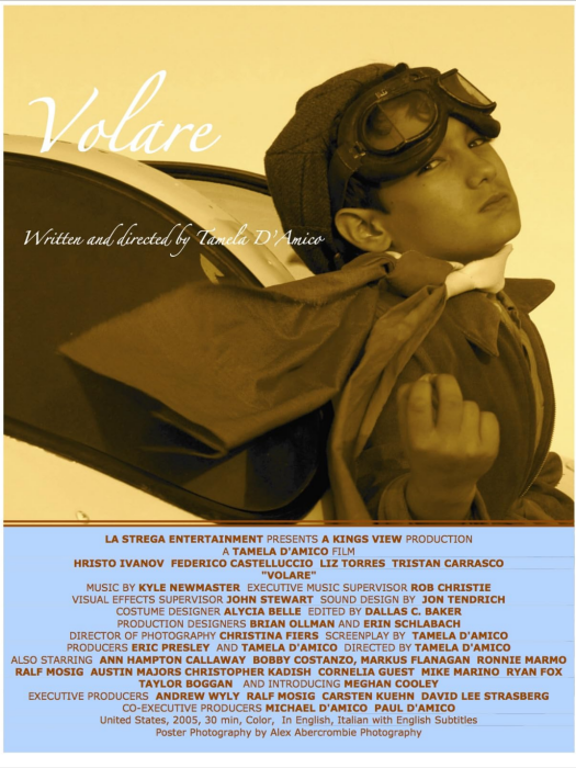 飛翔(美國2004年Tamela D'Amico執導的微電影) 飛翔(美國2004年Tamela D'Amico執導的微電影)