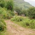 冬瓜塘村 冬瓜塘村