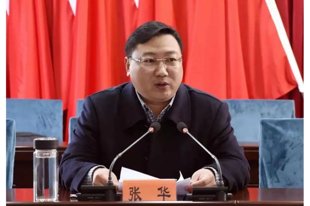 張華(江蘇省儀征市人民政府市長)
