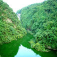 葛閃渡 葛閃渡