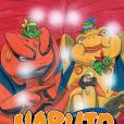 Naruto, Vol. 44
