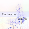 Underwood Underwood