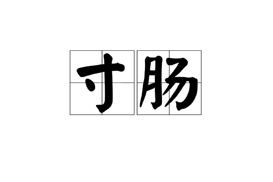 寸腸 寸腸