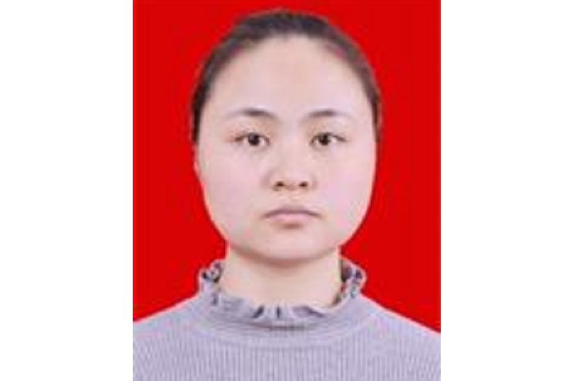 楊瑩(武漢理工大學汽車工程學院講師) 楊瑩(武漢理工大學汽車工程學院講師)
