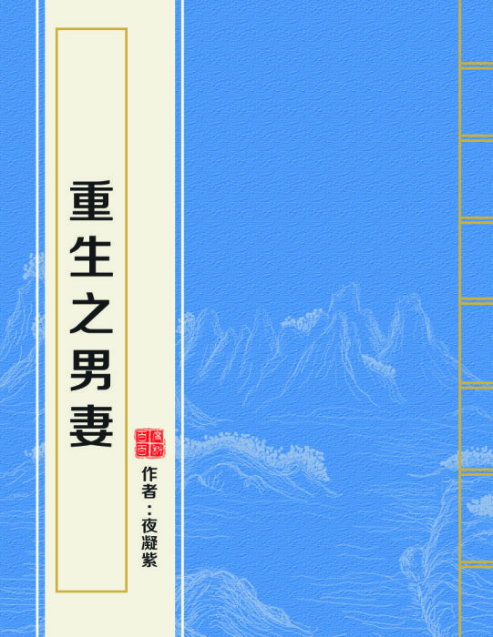 重生之男妻 重生之男妻